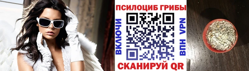 Псилоцибиновые грибы GOLDEN TEACHER Лесозаводск